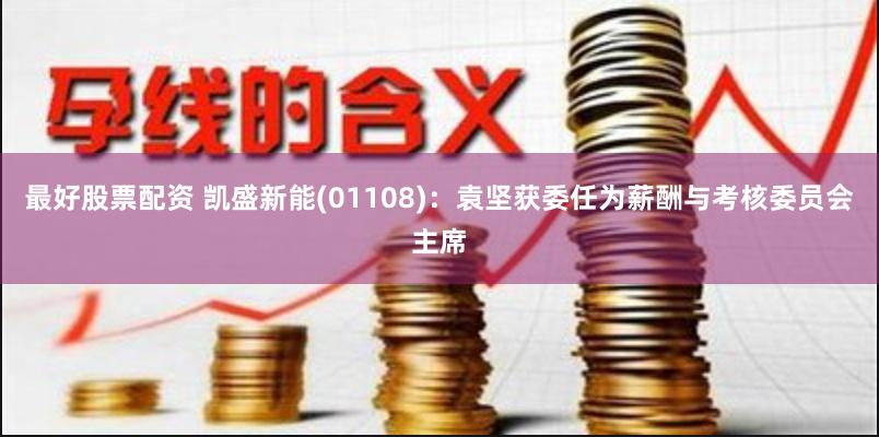 最好股票配资 凯盛新能(01108)：袁坚获委任为薪酬与考核委员会主席