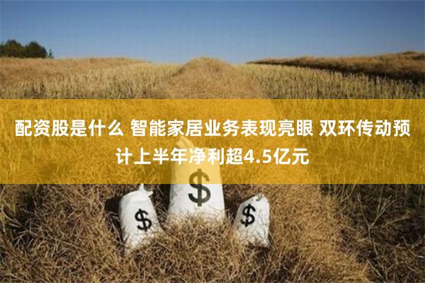 配资股是什么 智能家居业务表现亮眼 双环传动预计上半年净利超4.5亿元