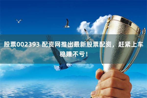 股票002393 配资网推出最新股票配资，赶紧上车稳赚不亏！