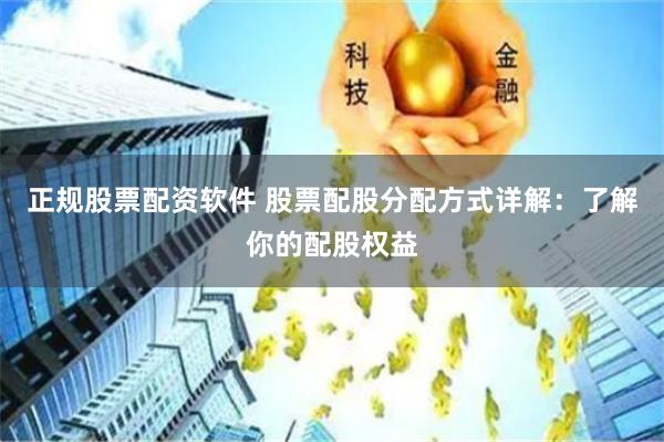 正规股票配资软件 股票配股分配方式详解：了解你的配股权益