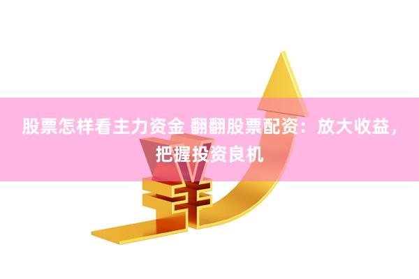 股票怎样看主力资金 翻翻股票配资：放大收益，把握投资良机