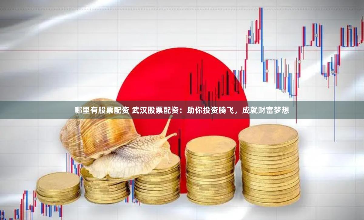 哪里有股票配资 武汉股票配资：助你投资腾飞，成就财富梦想