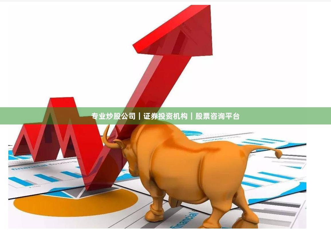 专业炒股公司｜证券投资机构｜股票咨询平台